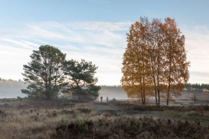 Rondtocht door het Hövelhofer Wald